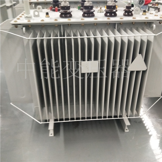 拉萨S20-800KVA变压器