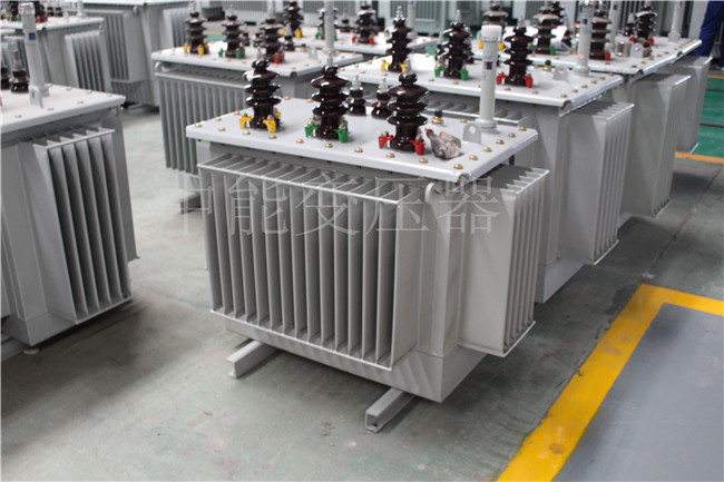 拉萨S22-250KVA/10KV变压器